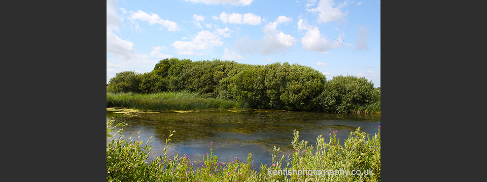 Kent Sound Mirror