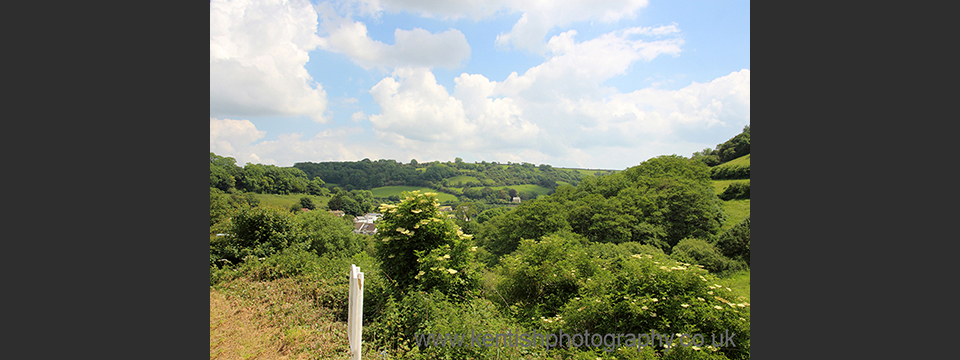 Branscombe