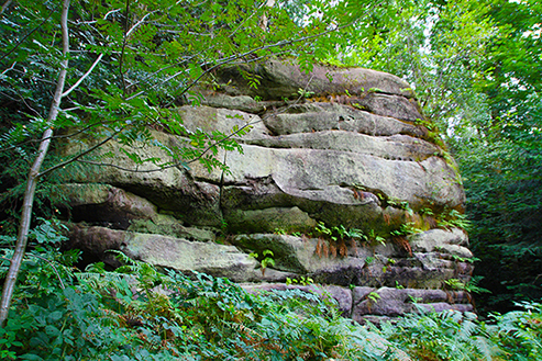 Eridge Rocks