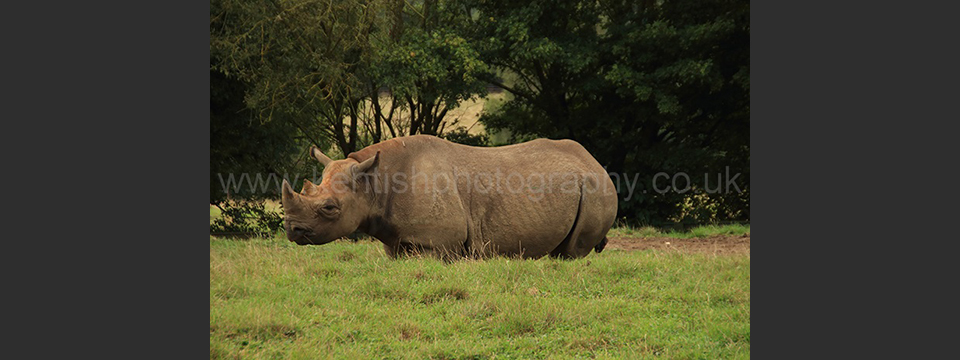 Lympne Zoo