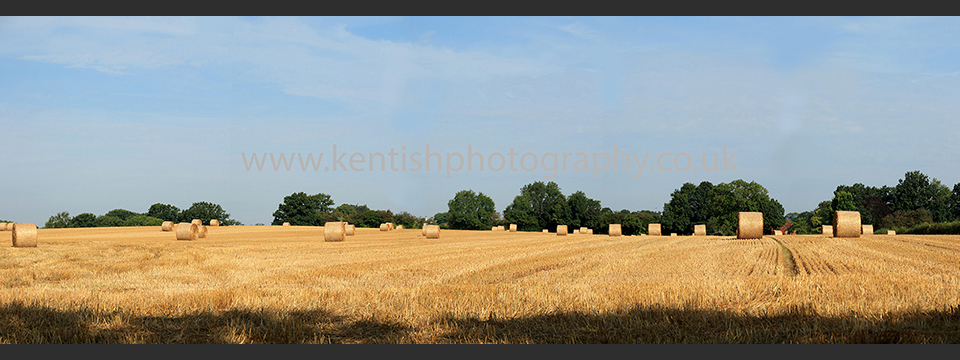 Kent harvest