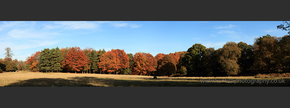 Knole Park