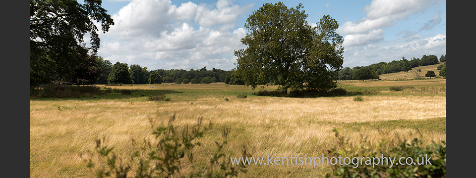 Bishopsbourne Kent