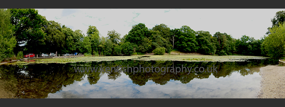 Keston Ponds